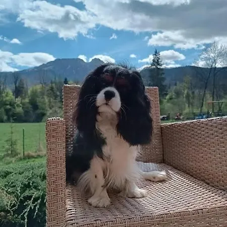 W Dolinie Cichej Wody Pansiyon *